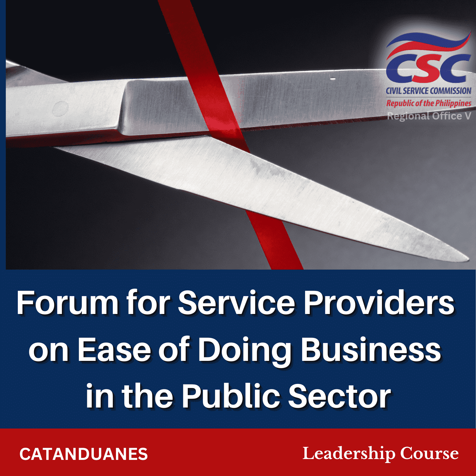 Ease of Doing Business in the Public Sector for Service Providers (Catanduanes)