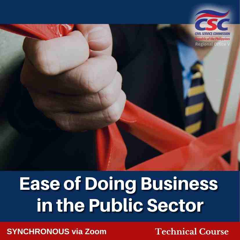 Ease of Doing Business in the Public Sector 