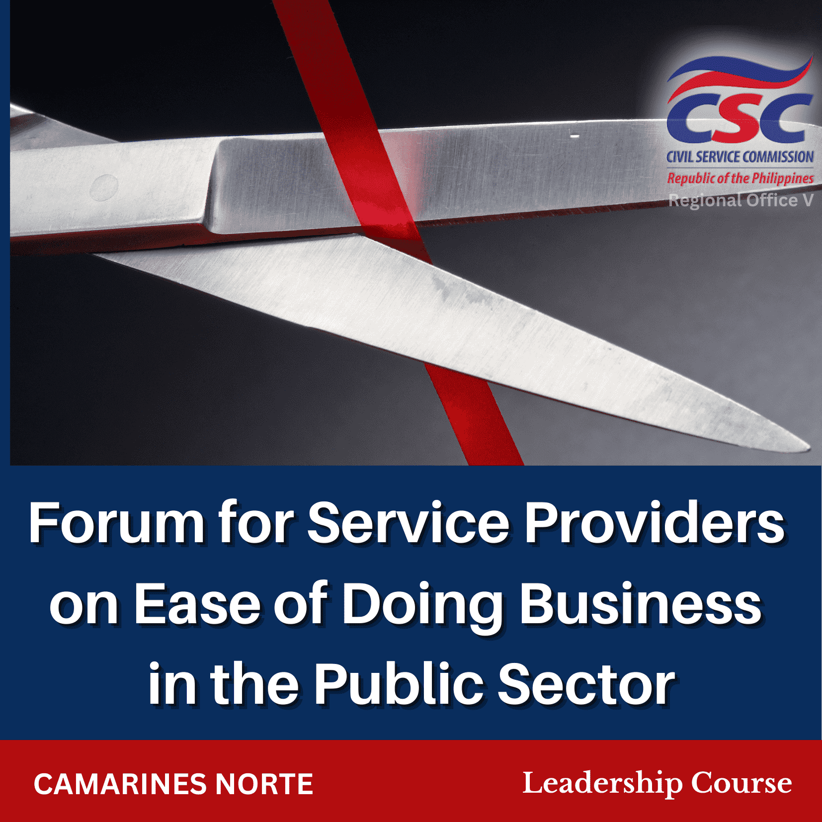 Ease of Doing Business in the Public Sector for Service Providers (Camarines Norte)