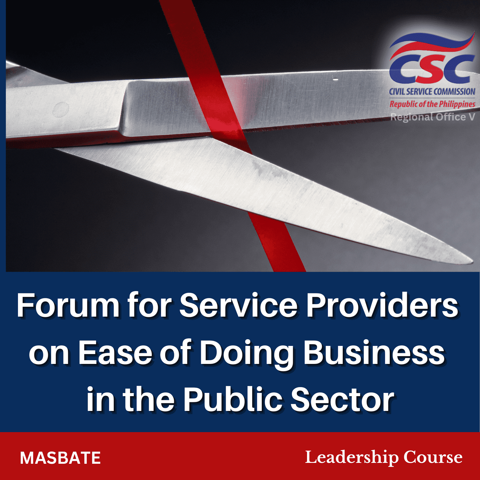 Ease of Doing Business in the Public Sector for Service Providers (Masbate)