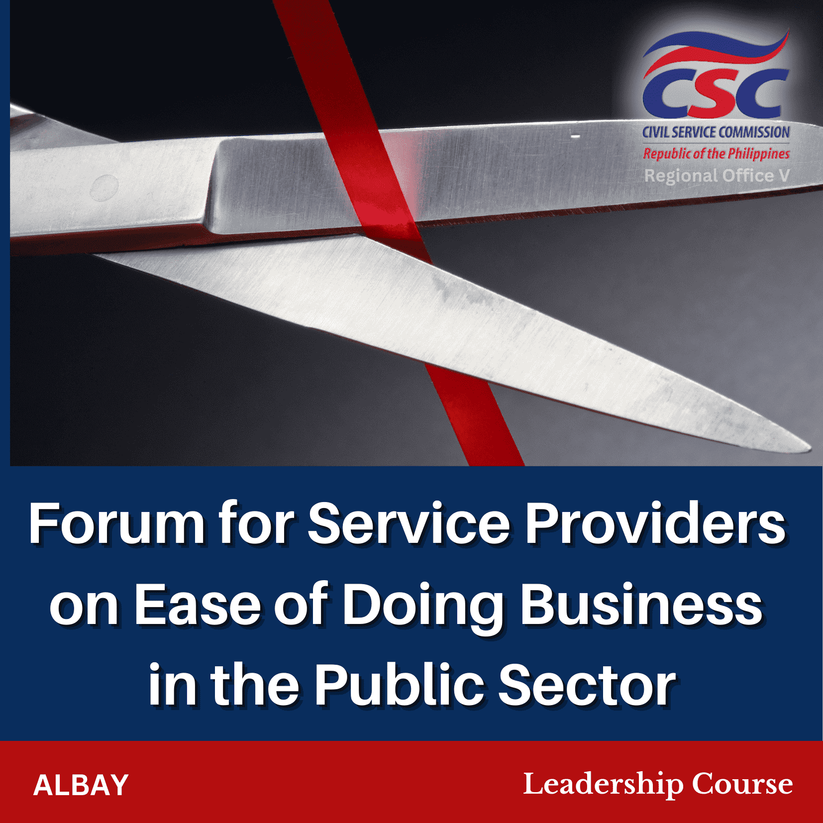 Forum on Ease of Doing Business in the Public Sector for Service Providers (Albay)