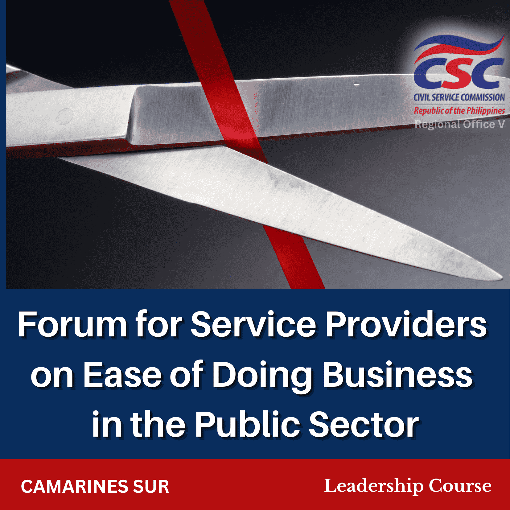Ease of Doing Business in the Public Sector for Service Providers (Camarines Sur)